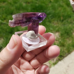 Vera Cruz Amethyst