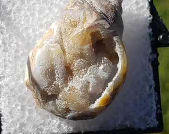Druzy Isopod
