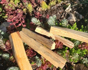 Palo Santo Stick