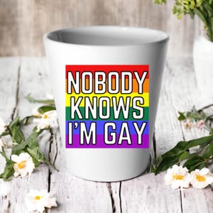 Nobody Knows I'm Gay Plant Pot / Succulent Cactus Flower Pot / Queer Pot / LGBTQ Gay Pride Gift / Birthday / House Warming Present