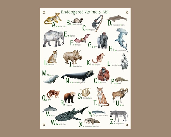 Canvas Endangered Animal Alphabet Poster With Brass Grommets - Etsy Canvas Endangered Animal Alphabet Poster With Brass Grommets - Etsy