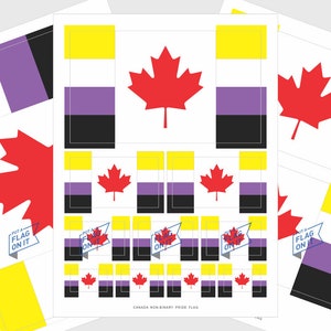May include: Sheets of stickers featuring the Canada Non-Binary Pride flag. The flag design includes a red maple leaf, yellow, purple, black, and white rectangles. The text "PUT A FLAG ON IT" is also visible.