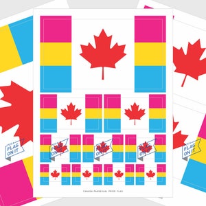 Stickers drapeau de la fierté pansexuelle du Canada