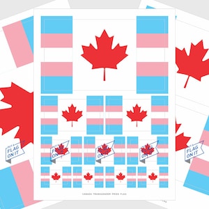 Stickers drapeau de la fierté transgenre du Canada