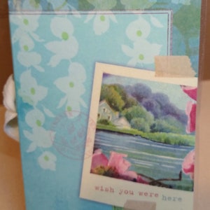 Traveler&#39;s Notebooks, Laminated, variations