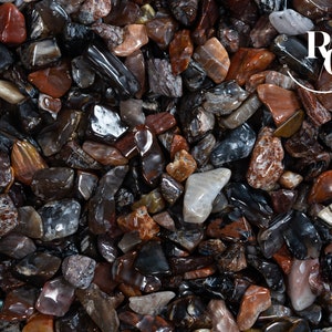 50g Wood Fossil Tumblestones & Chips