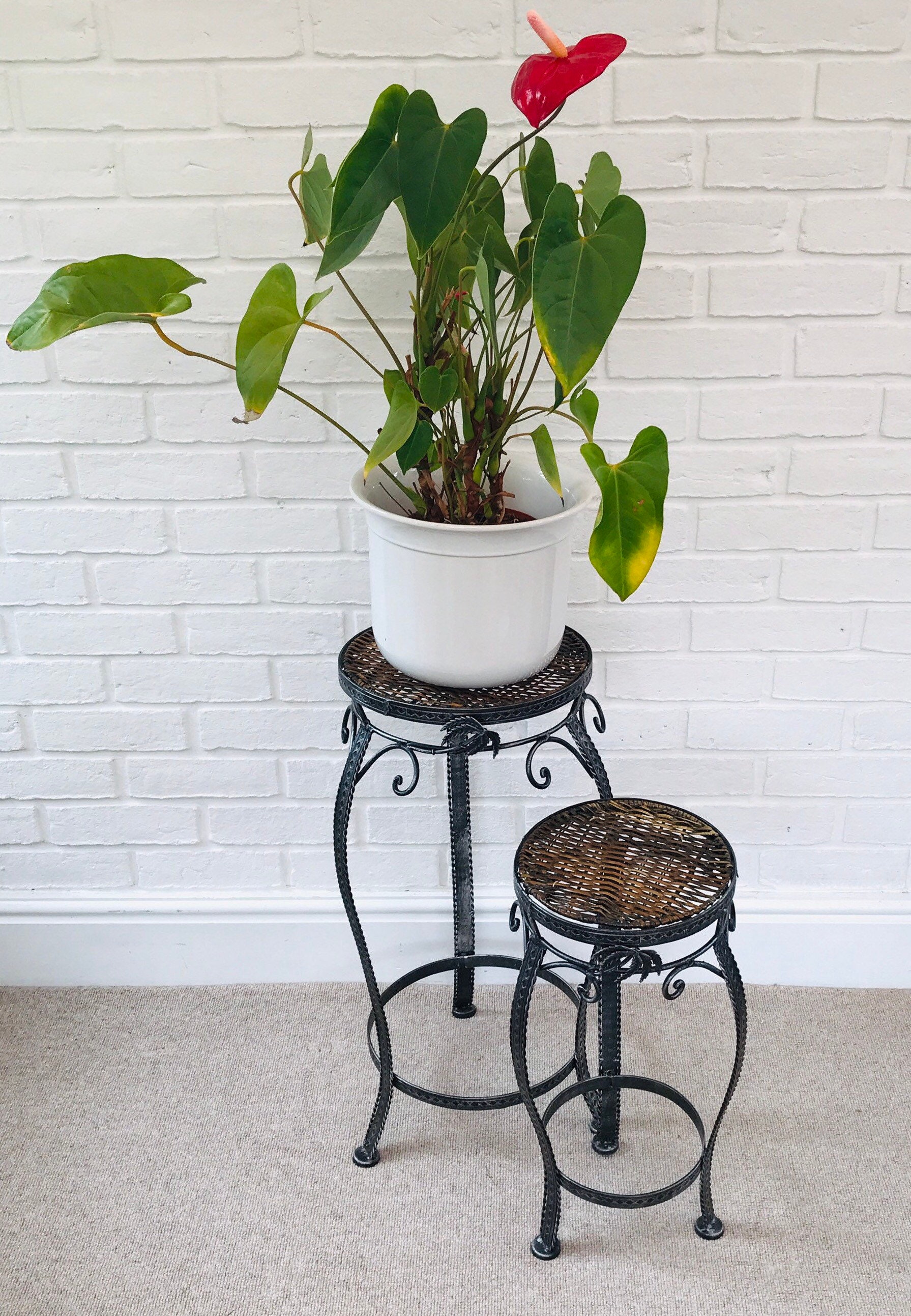 Steel and Wicker Plant Stands With Palm Tree Detail - Etsy UK