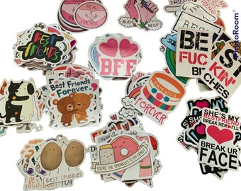 Best Friends Stickers Random Lot Mix  Waterproof Skateboards Water Bottle Laptop Luggage