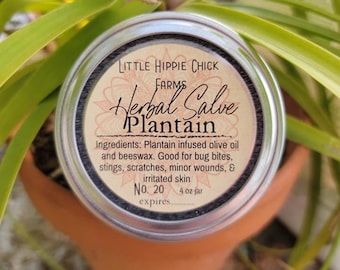 Plantain Herbal Salve Locally Sourced
