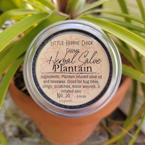 Plantain Herbal Salve Locally Sourced