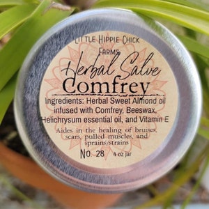 Comfrey Herbal Salve Plant Medicine