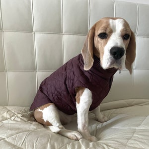 Warm Winter Vest For Dogs, Dog Vest For All Sizes, Vest For Dogs, Dog Jacket, Warm Dog Jacket with Lining
