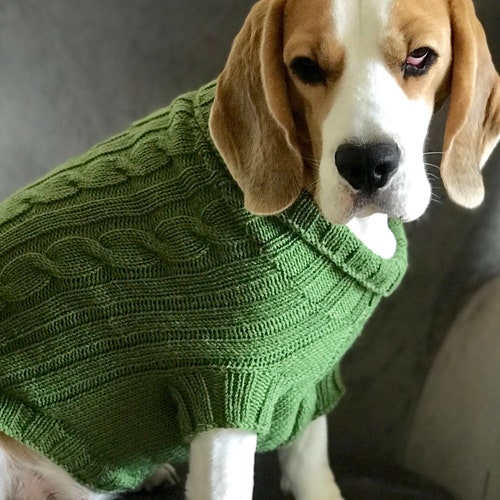 dog knit jumper