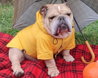 Raincoat For Dogs, Yellow Dog Raincoat with Lining, Raincoat For Large Dogs, Custom Dog Raincoat, Bulldog Raincoat