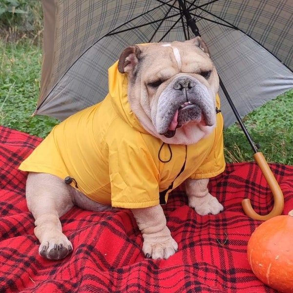 Raincoat For Dogs, Yellow Dog Raincoat with Lining, Raincoat For Large Dogs, Custom Dog Raincoat, Bulldog Raincoat