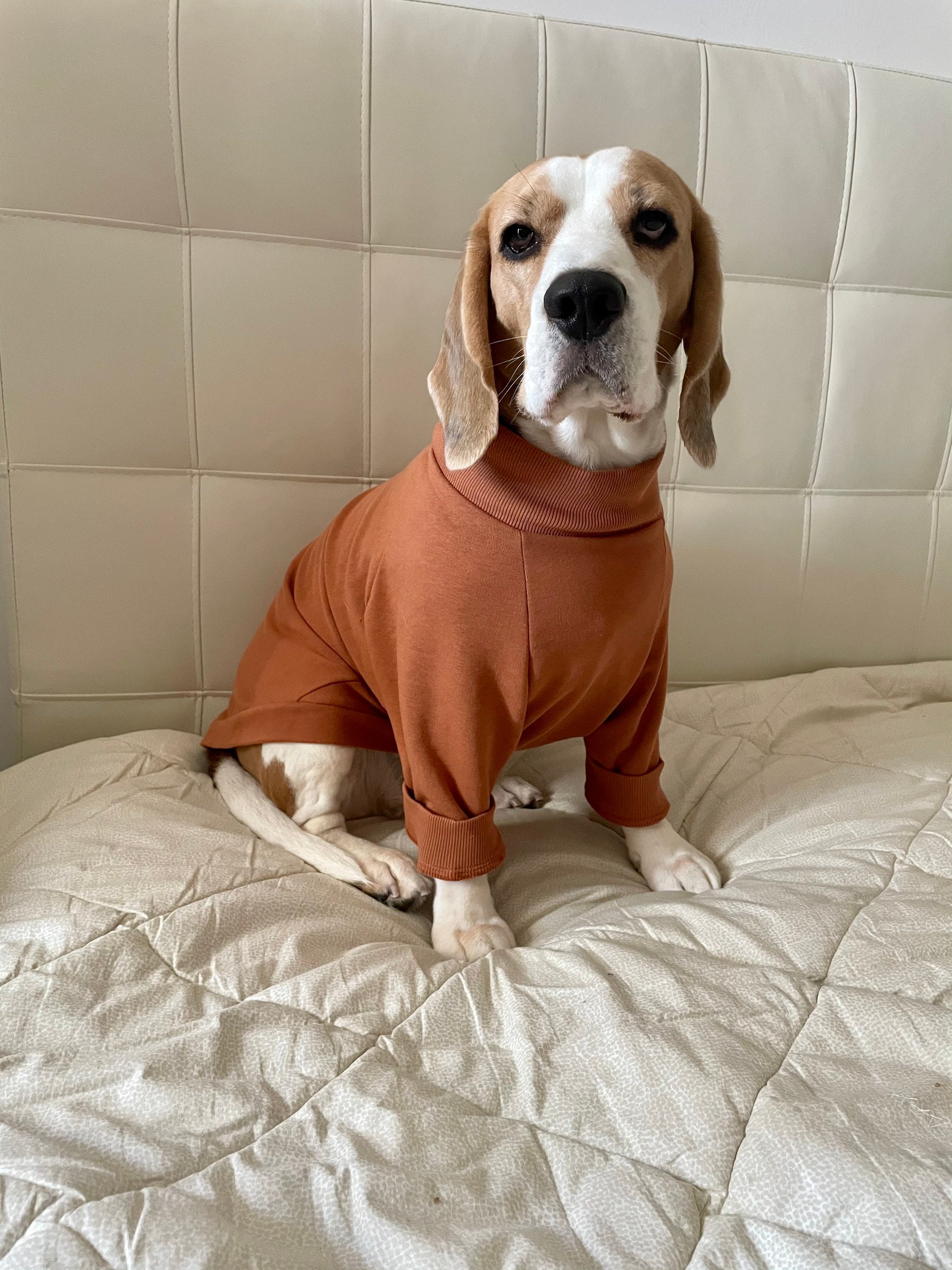 Warm Custom Sweatshirt For Dogs Dog Hoodie For All Sizes Etsy