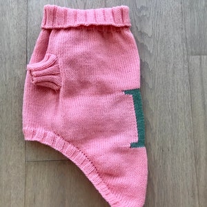 May include: A pink knitted dog sweater with a green letter "I" on the side.