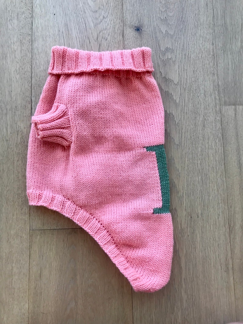 May include: A pink knitted dog sweater with a green letter "I" on the side.
