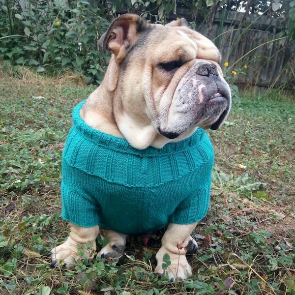 Personalized Dog Sweater, Custom Dog Sweater With Letter, Bulldog Sweater, Sweater For Big Dogs, Jumper For English Bulldog