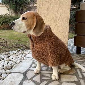 Winter Jacket For Dogs, Dog Vest For All Sizes, Vest For Dogs, Cozy Dog Winter Jacket with Lining, Warm Dog Jacket with Lining