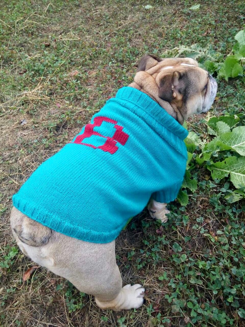 bulldogs sweater