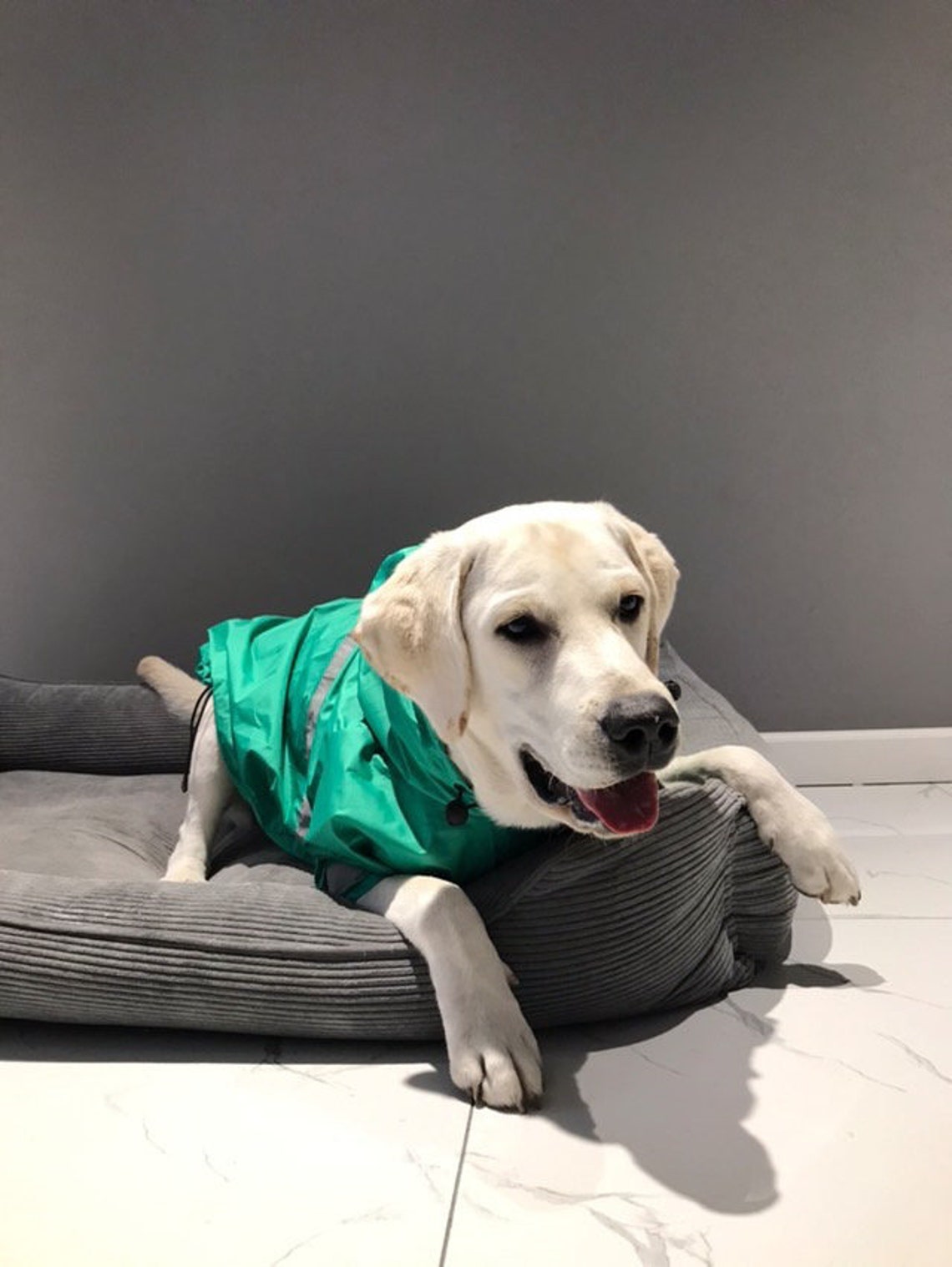 Custom Raincoat for Dogs Yellow Dog Raincoat With Lining Etsy