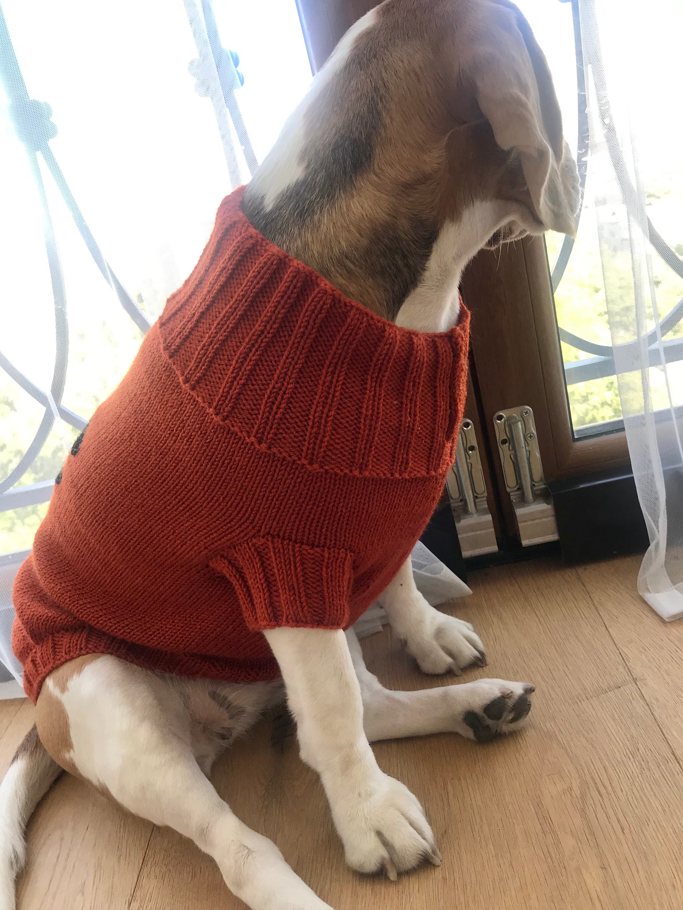 Orange Dog Sweater 