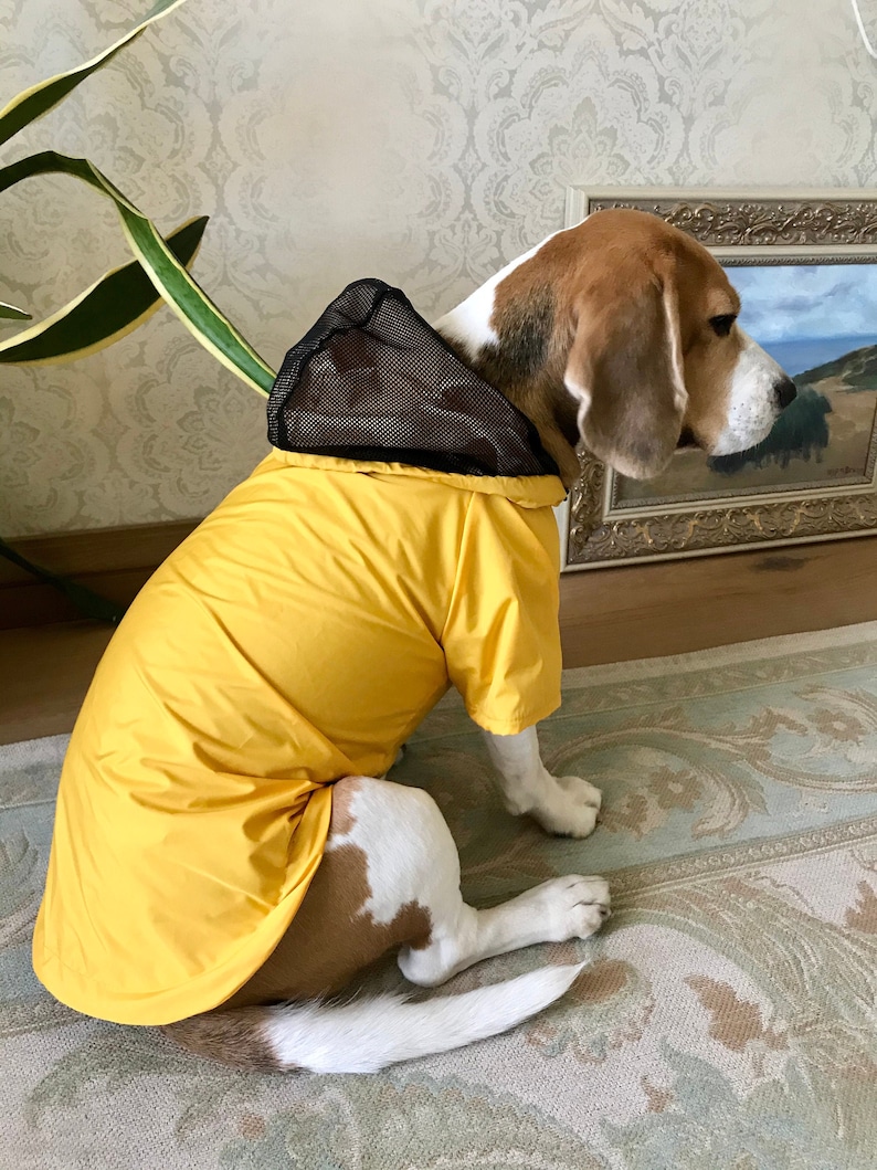 Regenmantel für Hunde mit Fleece Futter gelb warmen Hund Etsy