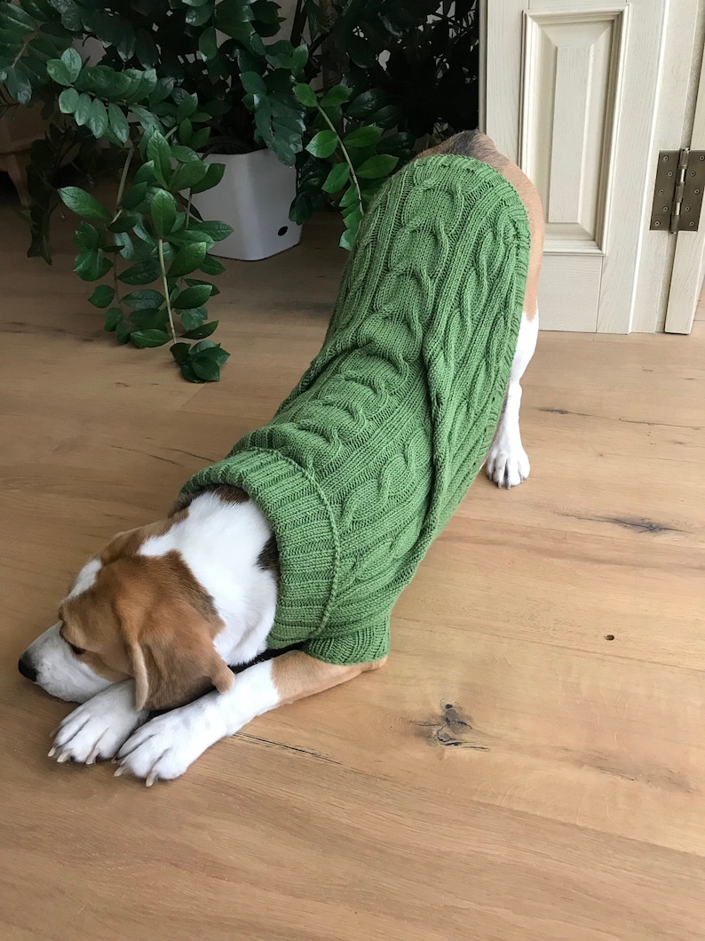 Knitted Sweater for Dogs Personalized Dog Jumper With Etsy