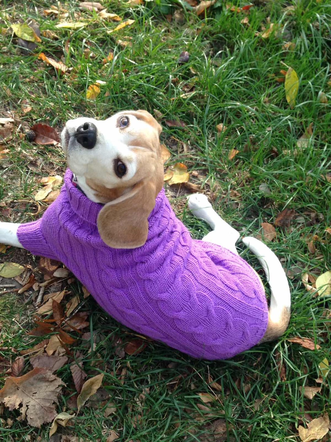 Knitted Dog Sweater, Woolen Dog Jumper With Pattern, Warm Sweater for