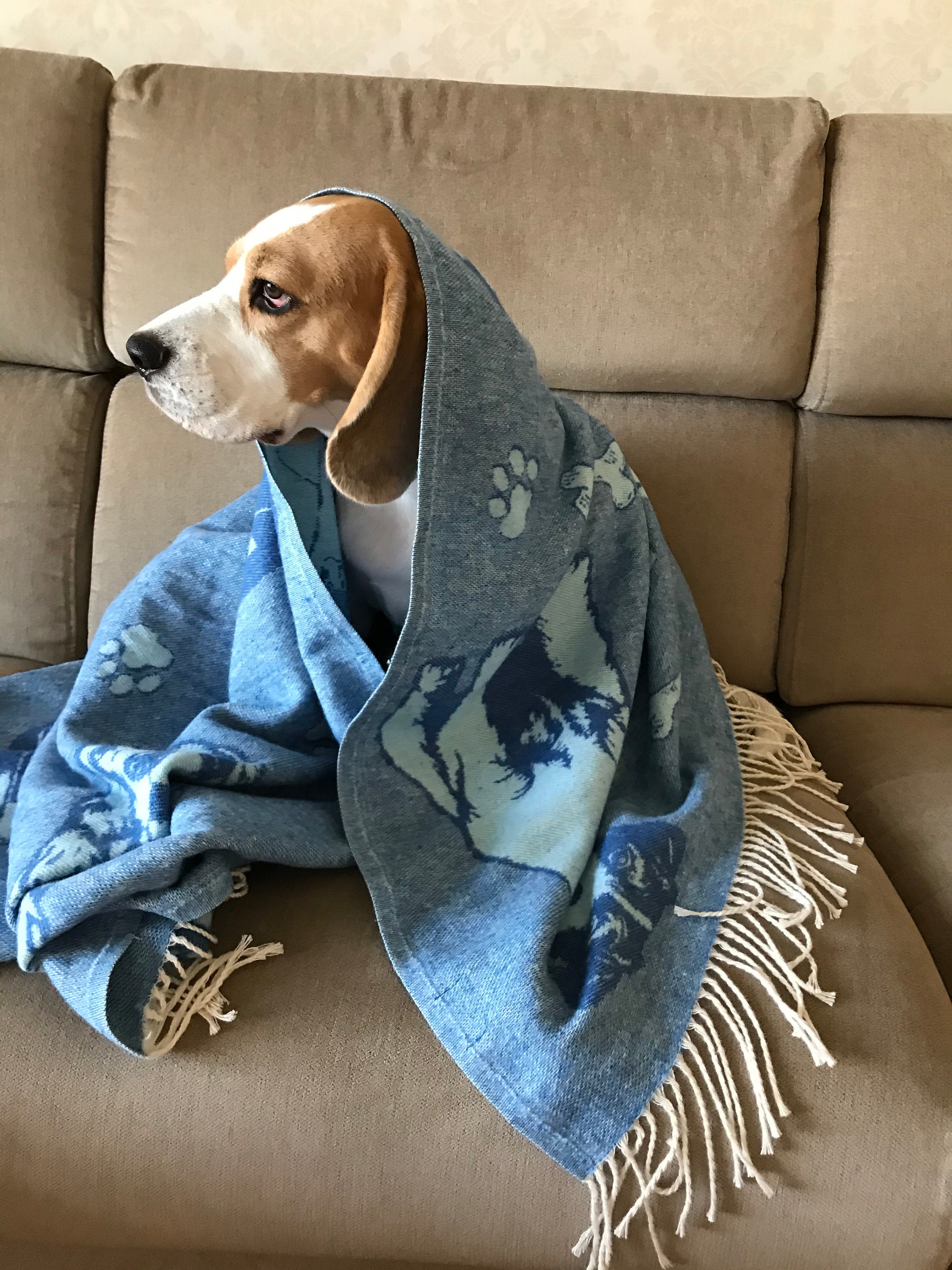Cotton Dog Blanket Natural Blanket for Pets With Dog Breed Etsy