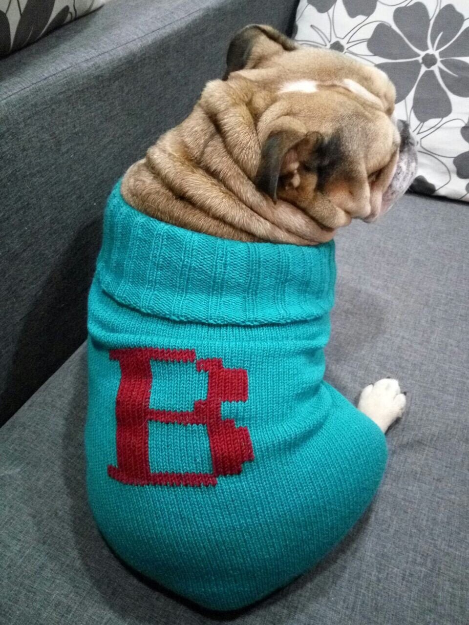 Bulldog Sweater Personalized Dog Sweater With Letter Custom Etsy