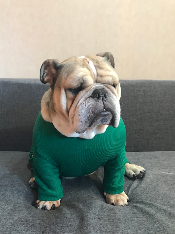 Custom Dog Pajamas for Large Dogs Pyjamas for Bulldog
