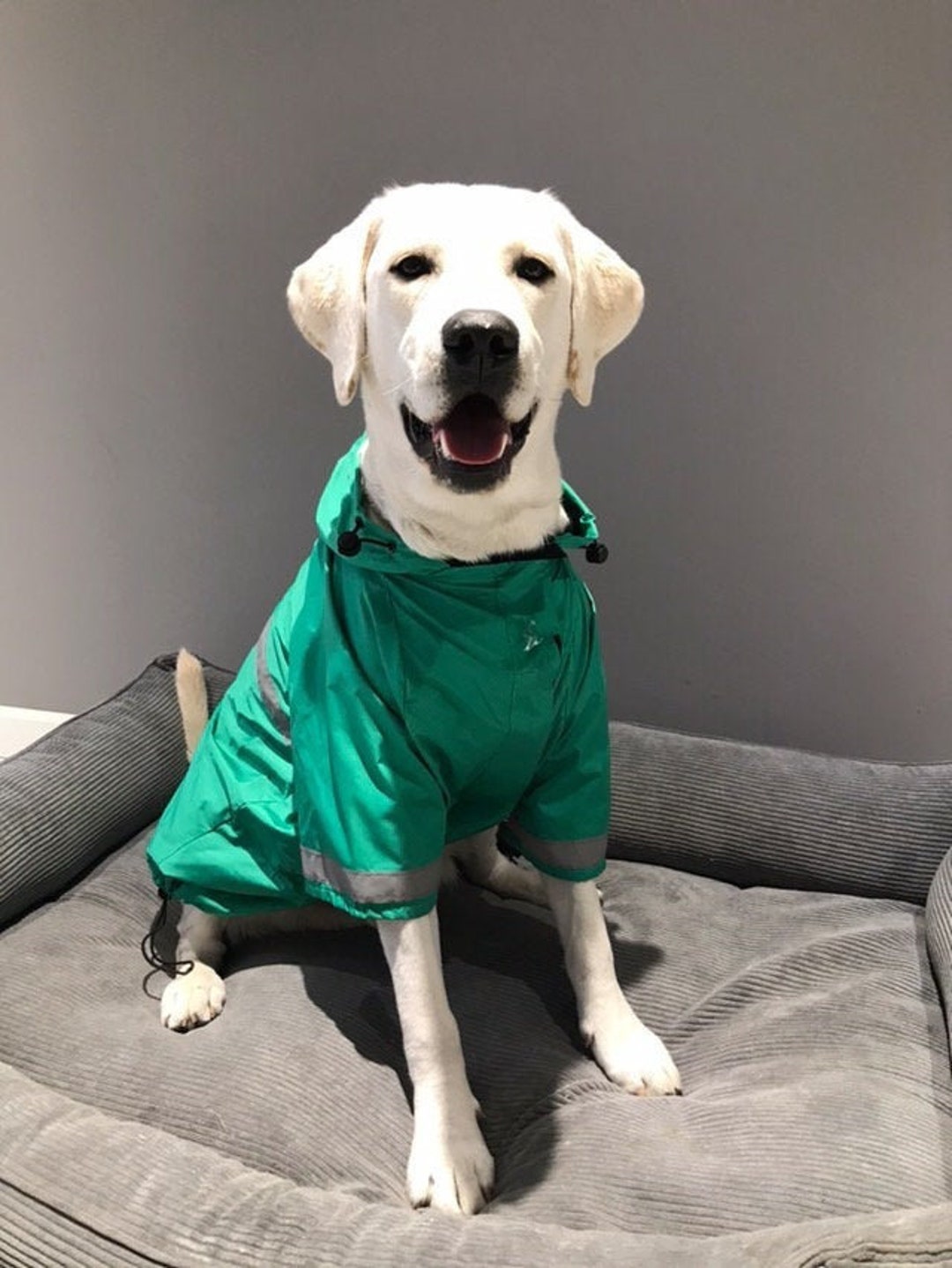 Custom Raincoat for Dogs, Yellow Dog Raincoat With Lining, Raincoat for