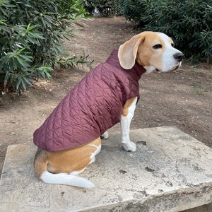 Winter Jacket For Dogs, Dog Vest For All Sizes, Vest For Dogs, Cozy Dog Winter Jacket with Lining, Warm Dog Jacket with Lining