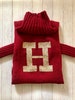 Weasley Inspired Sweater for Dogs, Hogwarts Sweater, Personalization Dog Sweater With Golden Letter, Knitted Dog Jumper, Custom Dog Sweater 