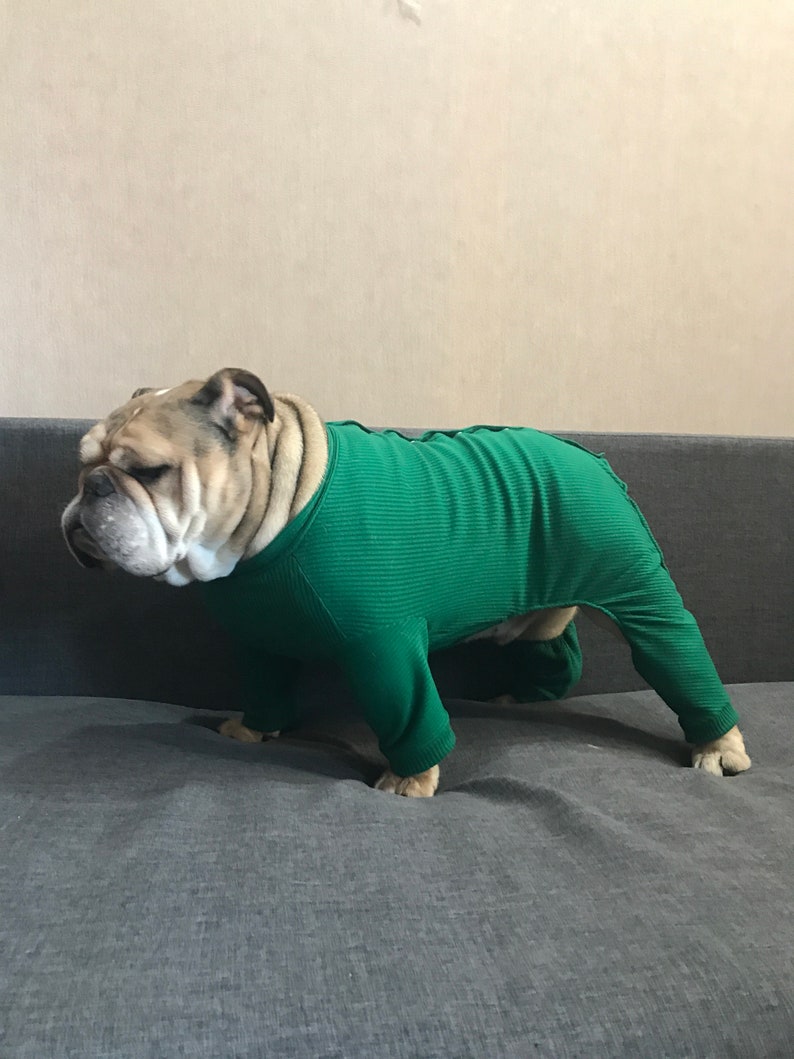 Custom Dog Pajamas for Large Dogs Pyjamas for Bulldog Etsy