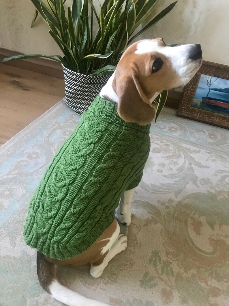 Knitted Sweater for Dogs Personalized Dog Jumper With Etsy