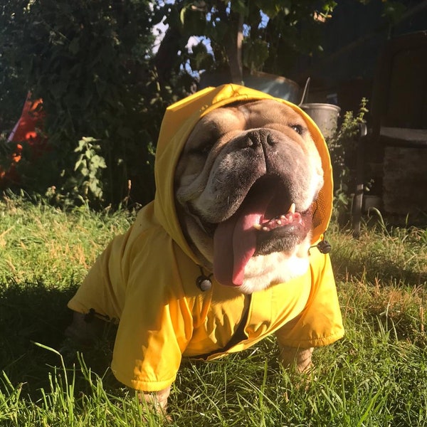 Raincoat For Dogs, Yellow Dog Raincoat with Lining, Raincoat For Bulldogs, Personalization Raincoat For Dogs