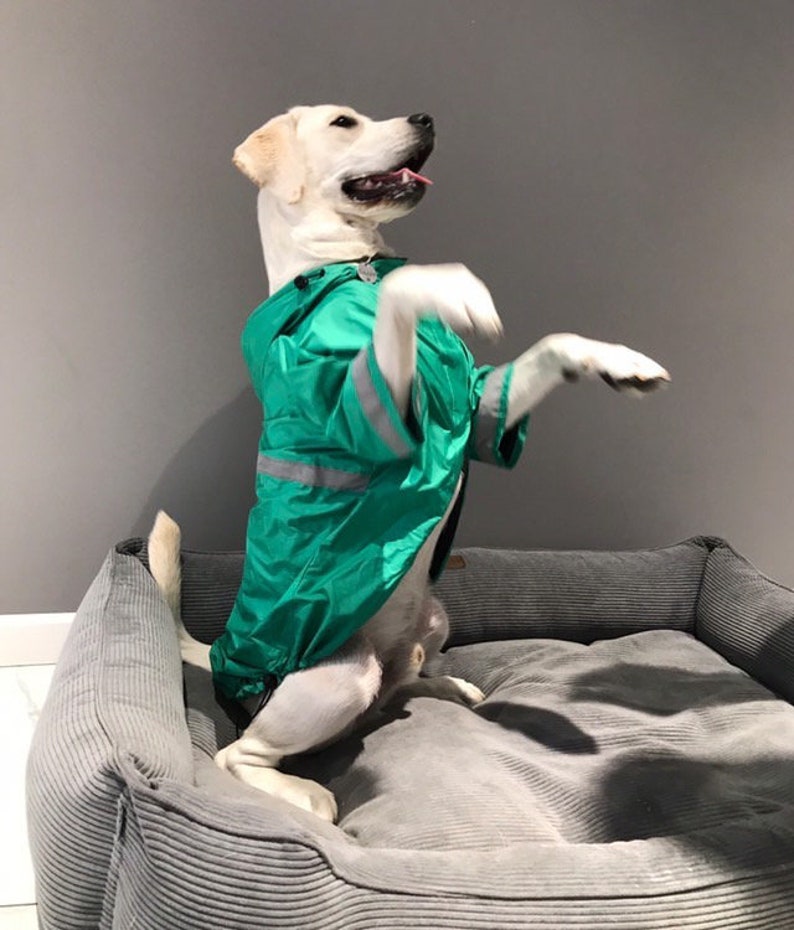 Custom Raincoat for Dogs Yellow Dog Raincoat With Lining Etsy