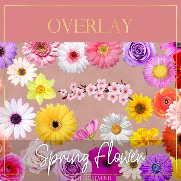 Transparent Overlays Flowers - Etsy