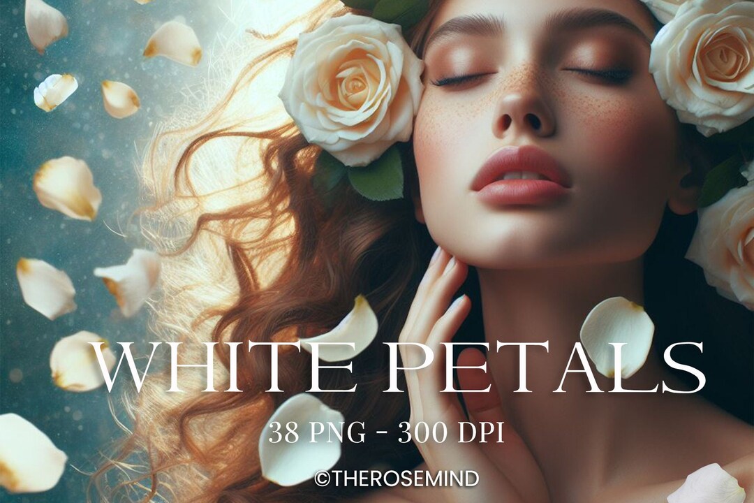 White Roses Overlay Overlays White Rose Petals, Download Fast, Petals White Rose, Overlay ...