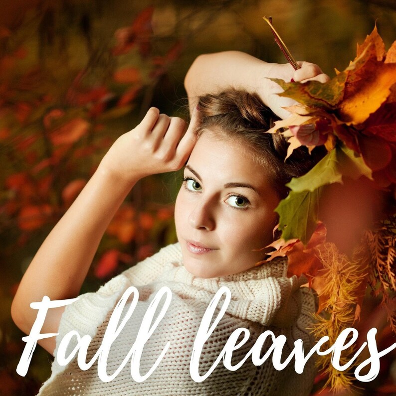 Fall leaves overlays, autumn fall leaves, autumn, image png filter for photography, instant download image 1