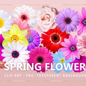 Spring flower overlays, Flowers png, transparent background, PNG, quick download, clipart