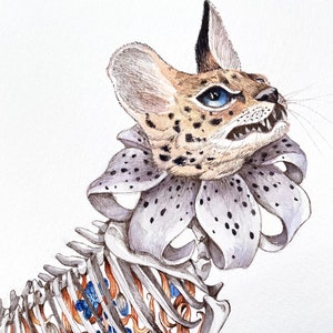 Felis Serval - Shadows of Africa - Acquerello originale e pittura a inchiostro