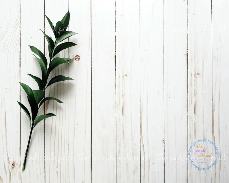 White Rustic Wood Background Mock UpMinimalist Green Theme