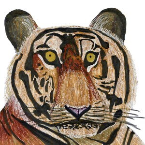 Tiger Print