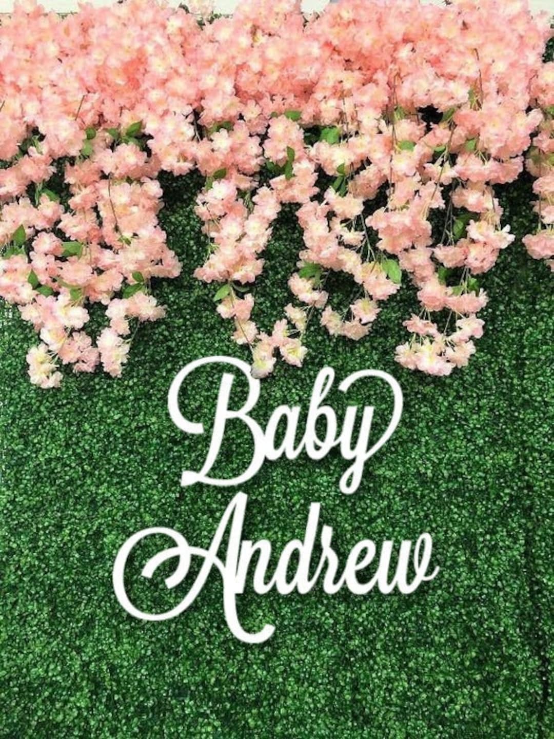 Baby Shower Backdrop Signage Decoration: Custom Name for Party Decor ...