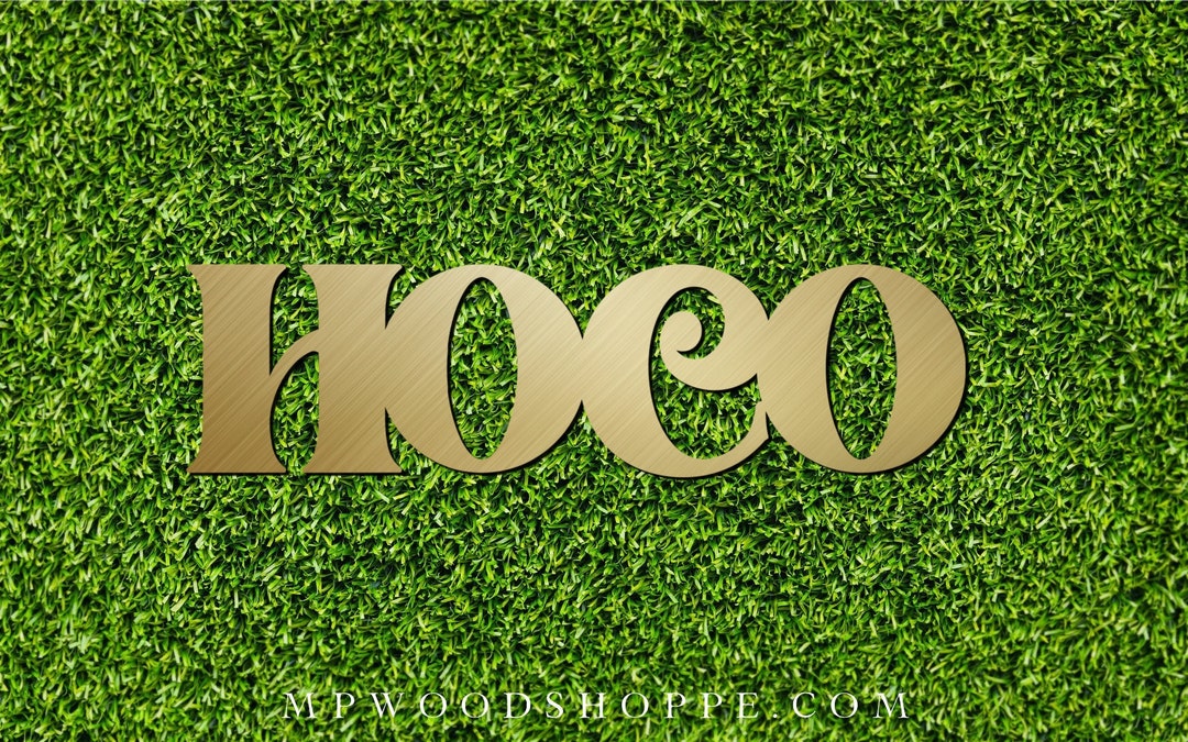 Sign for Pictures, Hoco 2025 Sign, Picture Prop