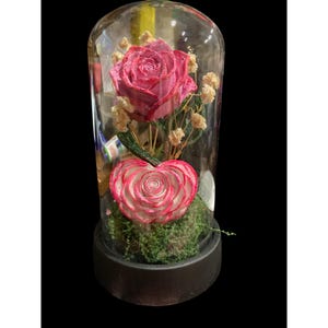 May include: A clear glass dome on a black circular base containing a pink rose, a heart-shaped flower arrangement with pink and white petals, and small sprigs of dried cream-coloured baby's breath nestled in a bed of green moss.
